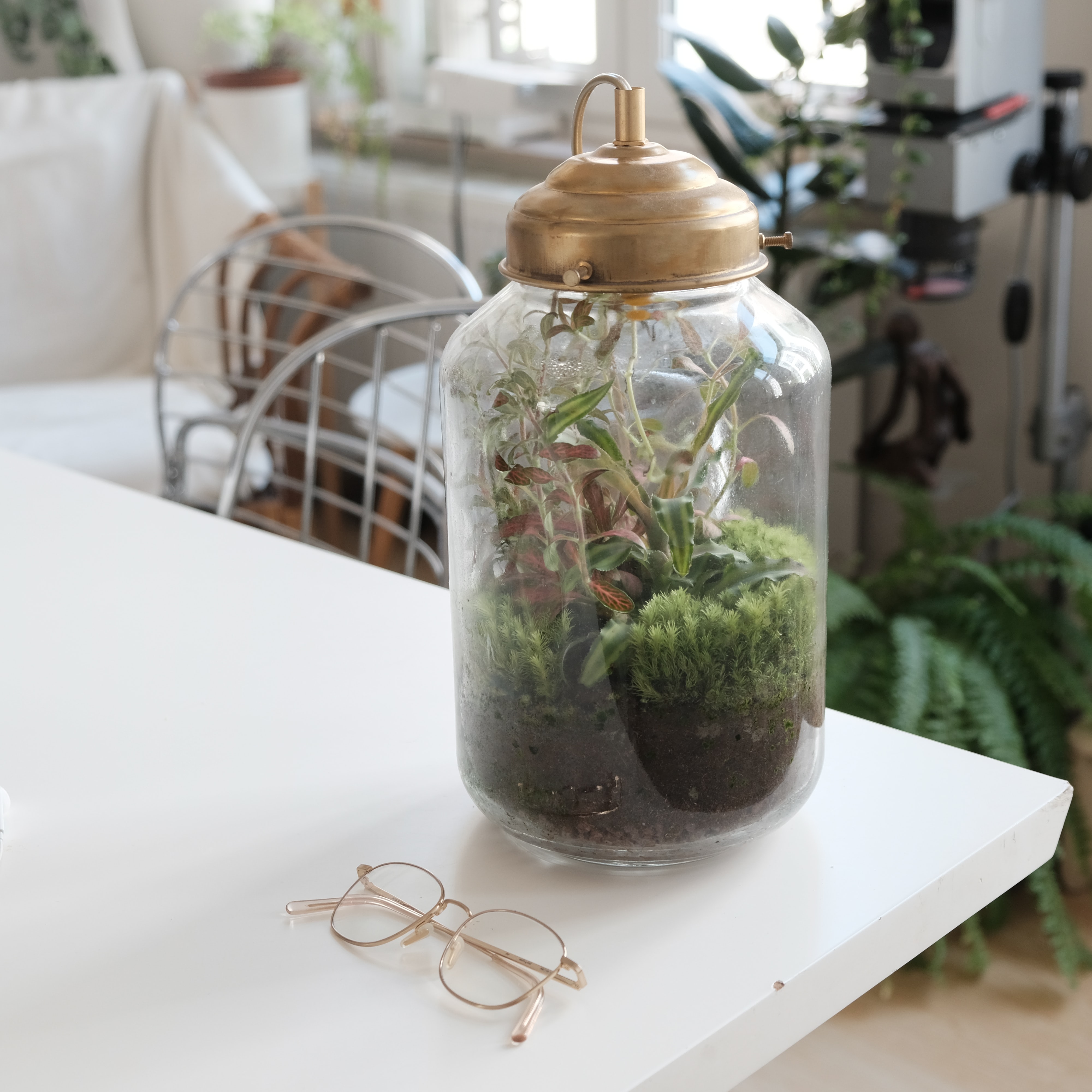 terrarium on a desk